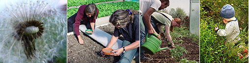 Gesellschaft f&uuml;r Gartenbau und Therapie - Therapeutische Arbeitsweisen