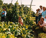 Gesellschaft f&uuml;r Gartenbau und Therapie - Termine