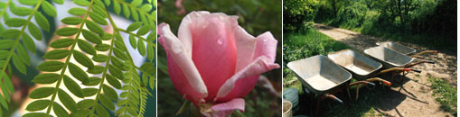 Gesellschaft f�r Gartenbau und Therapie - Mitglied werden